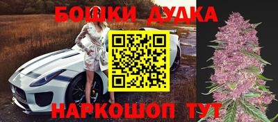 индика Ипатово