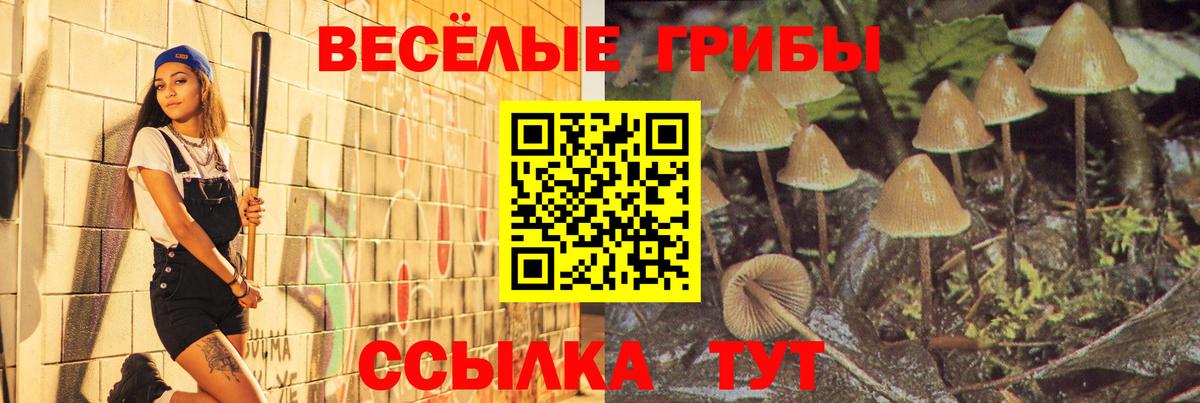 Псилоцибиновые грибы мицелий  Галлюциногенные грибы Cubensis  Лесозаводск  Вход с VPN 